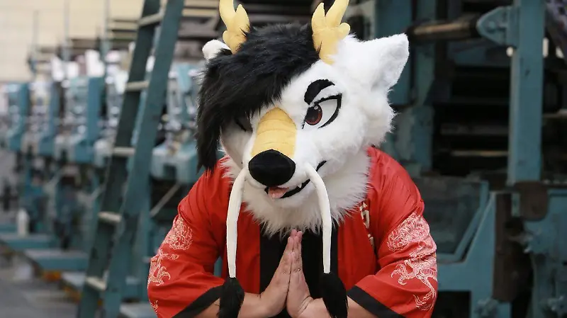 Furros, una combinación entre la creatividad y el arte